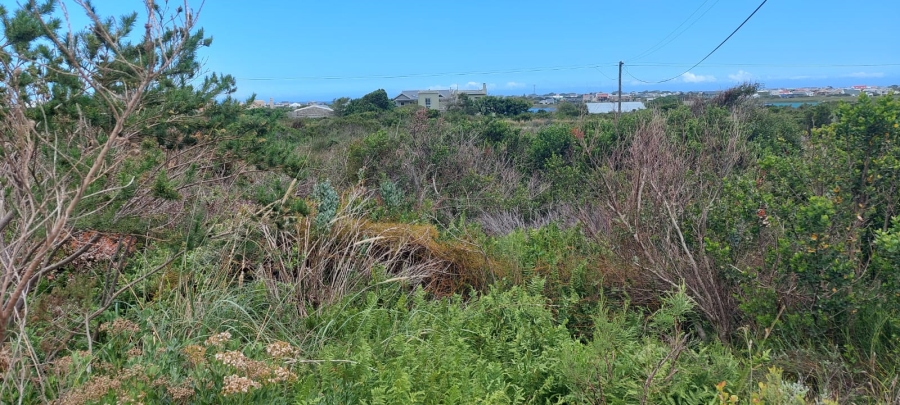 Commercial Property for Sale in Bettys Bay Western Cape